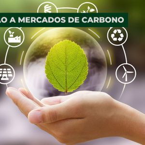 Introdução ao Mercado de Carbono